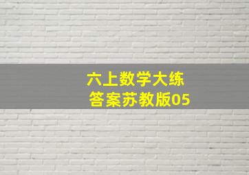 六上数学大练答案苏教版05