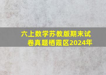 六上数学苏教版期末试卷真题栖霞区2024年