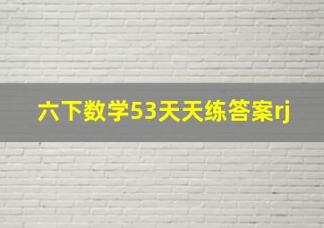 六下数学53天天练答案rj