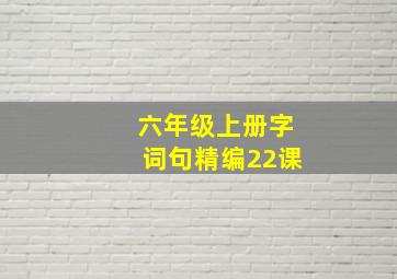 六年级上册字词句精编22课