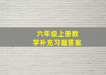 六年级上册数学补充习题答案