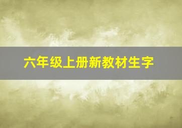 六年级上册新教材生字