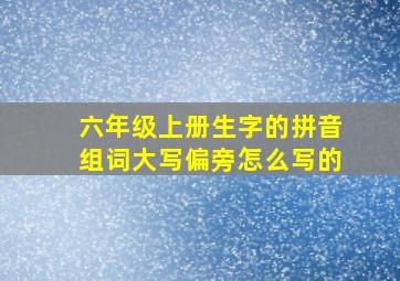 六年级上册生字的拼音组词大写偏旁怎么写的