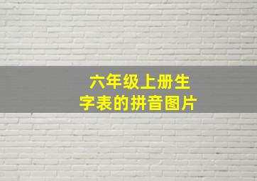 六年级上册生字表的拼音图片