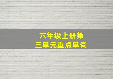 六年级上册第三单元重点单词