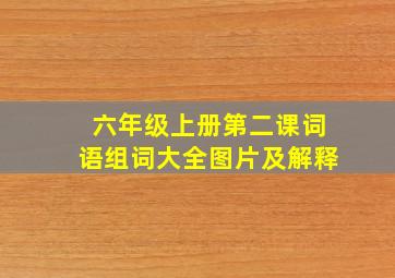 六年级上册第二课词语组词大全图片及解释