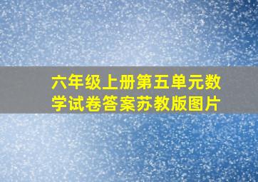 六年级上册第五单元数学试卷答案苏教版图片