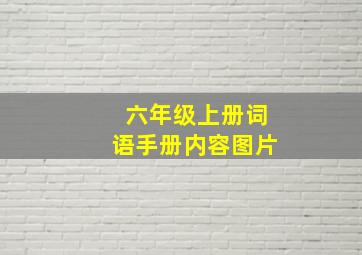 六年级上册词语手册内容图片