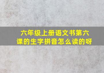 六年级上册语文书第六课的生字拼音怎么读的呀