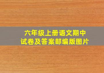 六年级上册语文期中试卷及答案部编版图片