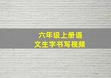 六年级上册语文生字书写视频