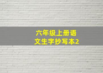 六年级上册语文生字抄写本2