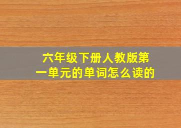 六年级下册人教版第一单元的单词怎么读的