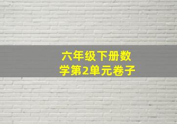 六年级下册数学第2单元卷子