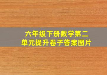 六年级下册数学第二单元提升卷子答案图片