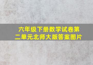 六年级下册数学试卷第二单元北师大版答案图片