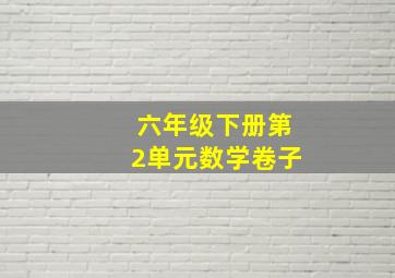 六年级下册第2单元数学卷子