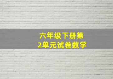 六年级下册第2单元试卷数学