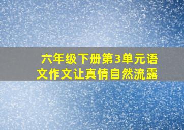 六年级下册第3单元语文作文让真情自然流露