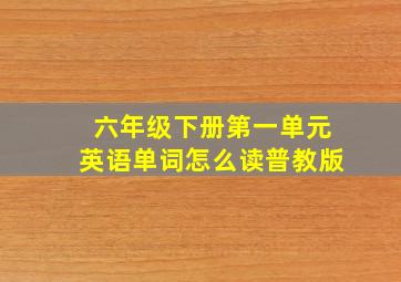 六年级下册第一单元英语单词怎么读普教版