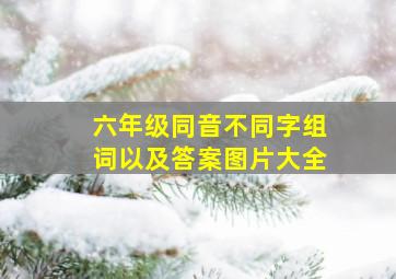 六年级同音不同字组词以及答案图片大全