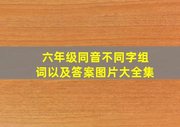 六年级同音不同字组词以及答案图片大全集