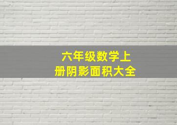 六年级数学上册阴影面积大全