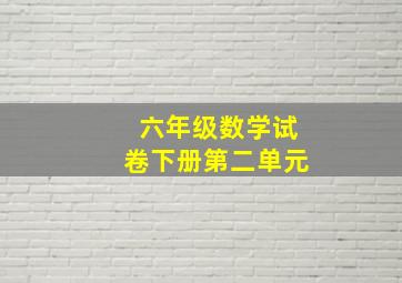 六年级数学试卷下册第二单元