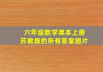 六年级数学课本上册苏教版的所有答案图片