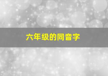 六年级的同音字