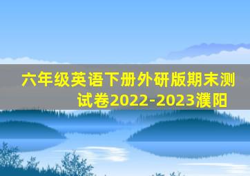 六年级英语下册外研版期末测试卷2022-2023濮阳