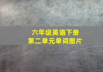 六年级英语下册第二单元单词图片