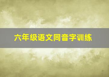 六年级语文同音字训练