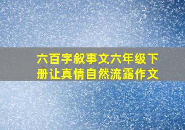 六百字叙事文六年级下册让真情自然流露作文