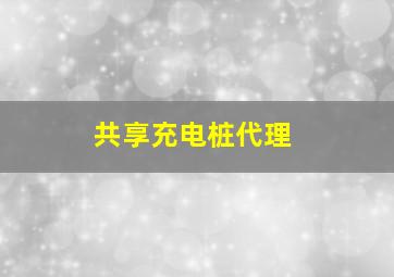 共享充电桩代理