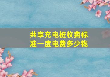 共享充电桩收费标准一度电费多少钱