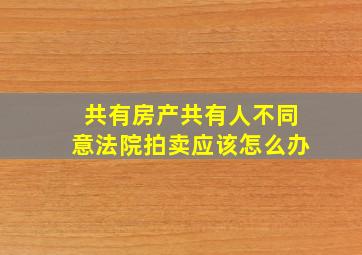 共有房产共有人不同意法院拍卖应该怎么办