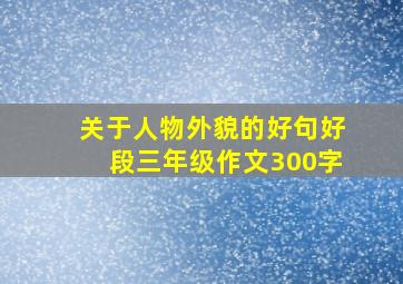 关于人物外貌的好句好段三年级作文300字