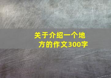 关于介绍一个地方的作文300字