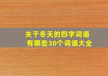 关于冬天的四字词语有哪些30个词语大全