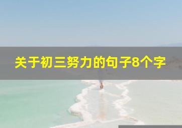 关于初三努力的句子8个字