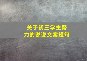 关于初三学生努力的说说文案短句