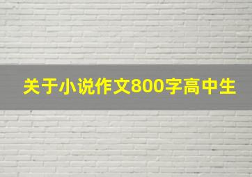 关于小说作文800字高中生