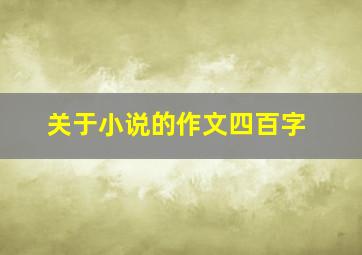 关于小说的作文四百字