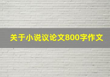 关于小说议论文800字作文