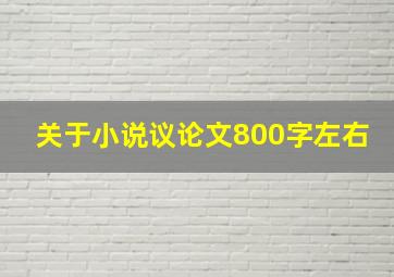 关于小说议论文800字左右