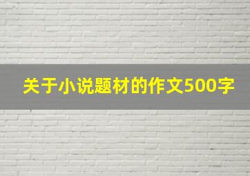 关于小说题材的作文500字