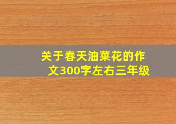 关于春天油菜花的作文300字左右三年级