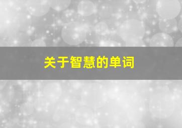 关于智慧的单词