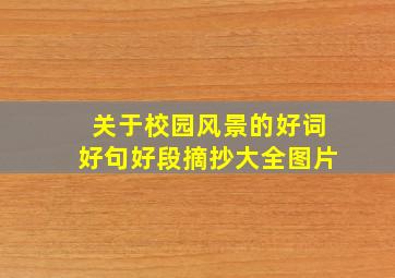 关于校园风景的好词好句好段摘抄大全图片